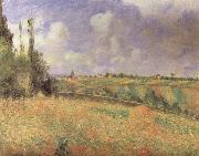 Camille Pissarro Rye Fields at Pontoise oil painting